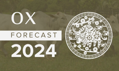 Ox Horoscope 2024 Forecast