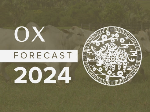 Ox Horoscope 2024 Forecast