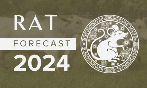 Rat Horoscope 2024 Forecast