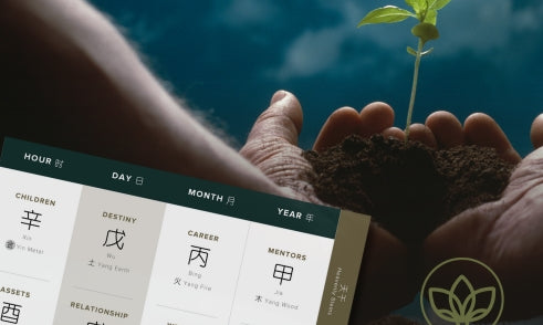 How Does Wood Affect Personal Growth in Four Pillars of Destiny?