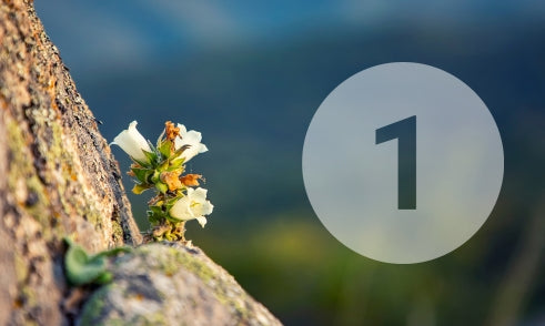 What is the significance of 1 in numerology?