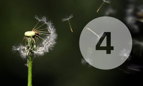 What is the significance of 4 in numerology?