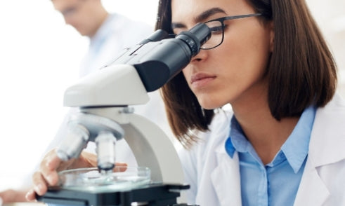 Full Guide to The Analyzer – Direct Resource in Bazi Reading