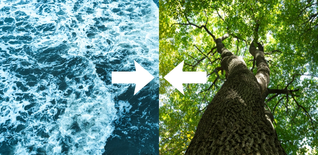 What Happens When Water Clashes with Wood?