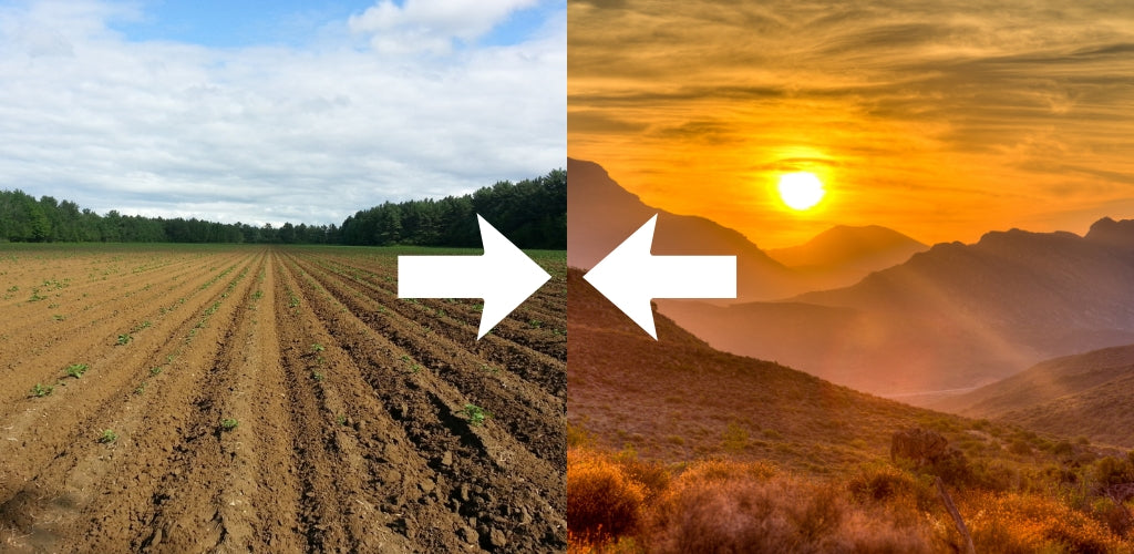 What Happens When Earth Clashes with Earth?