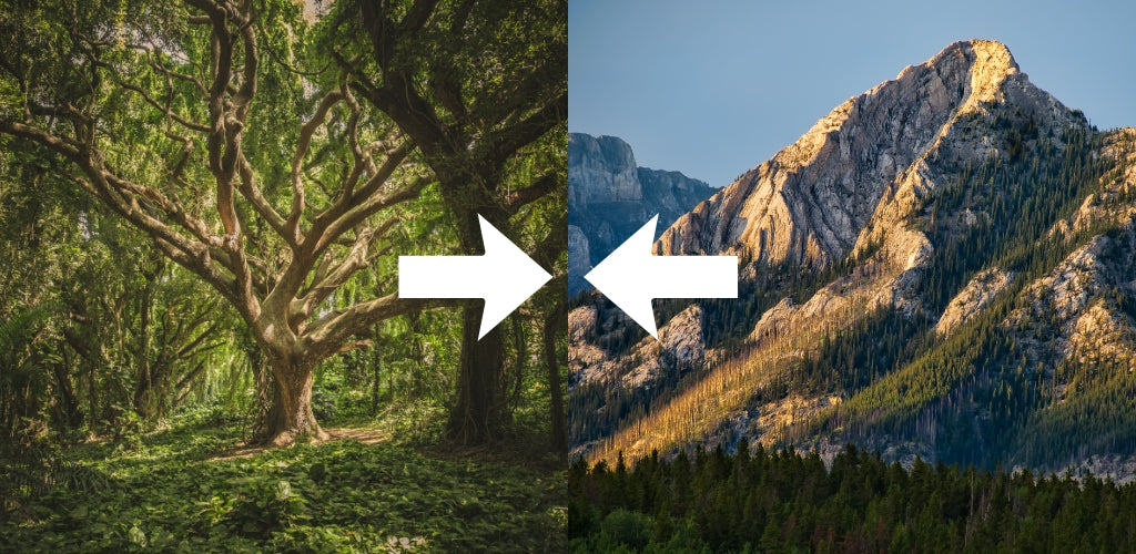 What Happens When Wood Clashes with Earth?
