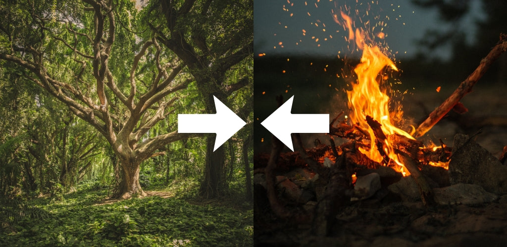 What Happens When Wood Clashes with Fire?