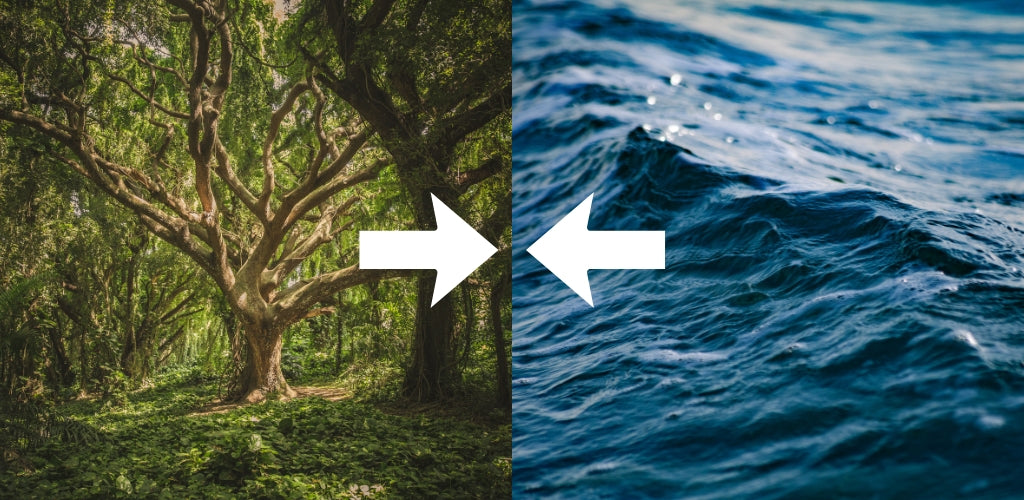 What Happens When Wood Clashes with Water? Hoseiki Jewelry