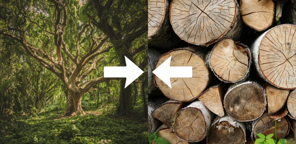What Happens When Wood Clashes with Wood?