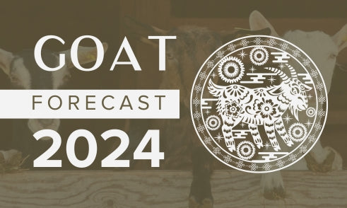 Goat Horoscope 2024 Forecast