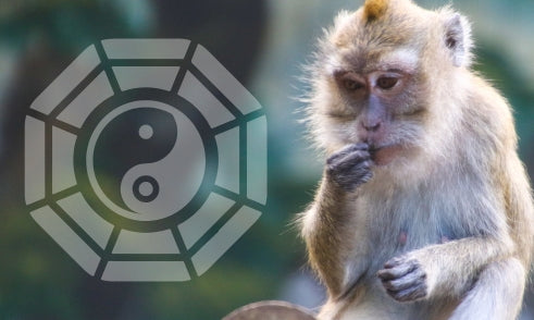 What Does Monkey Mean in Bazi Chart?