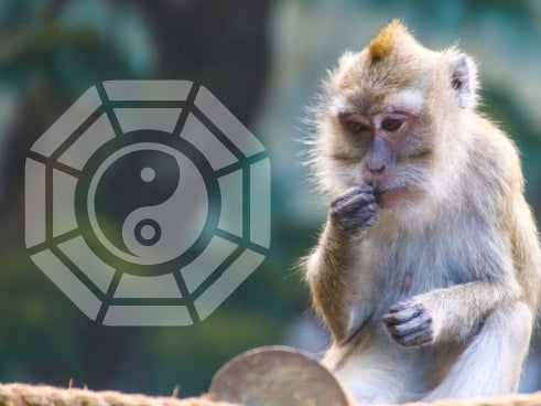 What Does Monkey Mean in Bazi Chart?