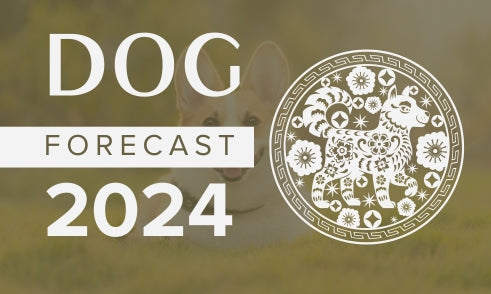 Dog Horoscope 2024 Forecast