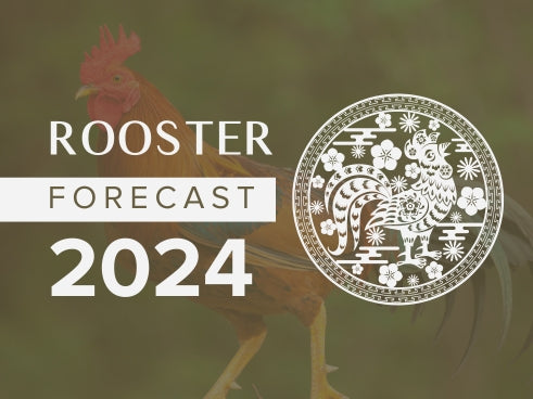 Rooster Horoscope 2024 Forecast