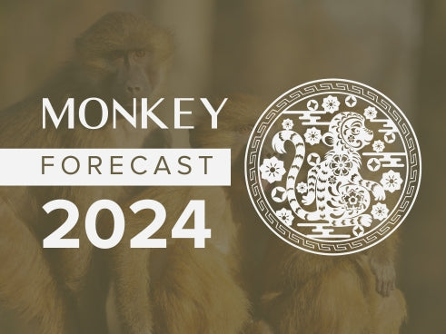 Monkey Horoscope 2024 Forecast Hoseiki Jewelry   5 8d3d4725 80d4 495f 94f8 07d88a51a705 