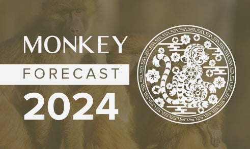 Monkey Horoscope 2024 Forecast