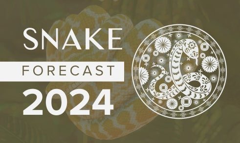 Snake Horoscope 2024 Forecast