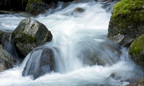 How to Balance Yang Water in Bazi Chart?