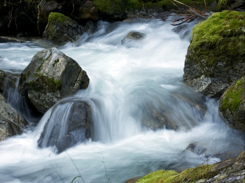 How to Balance Yang Water in Bazi Chart?