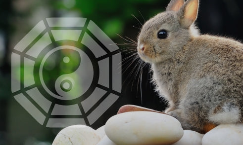 What Does Rabbit Mean in Bazi Chart?