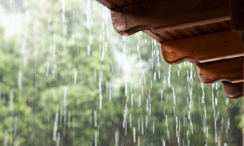 How to Balance Yin Water in Bazi Chart?