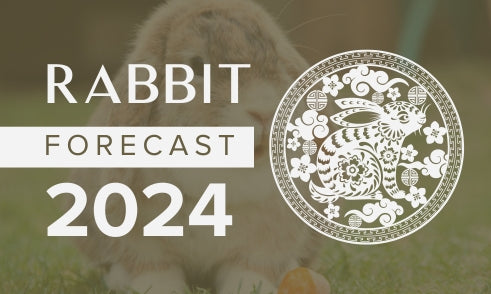 Rabbit Horoscope 2024 Forecast