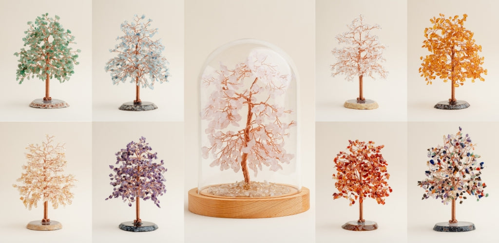 New Feng Shui Trees: 9 Types of the Trees of Serenity