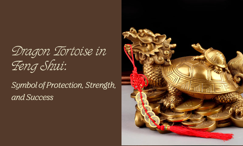 Dragon Tortoise and Its Significance in Feng Shui