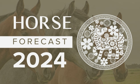 Horse Horoscope 2024 Forecast