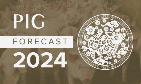 Pig Horoscope 2024 Forecast