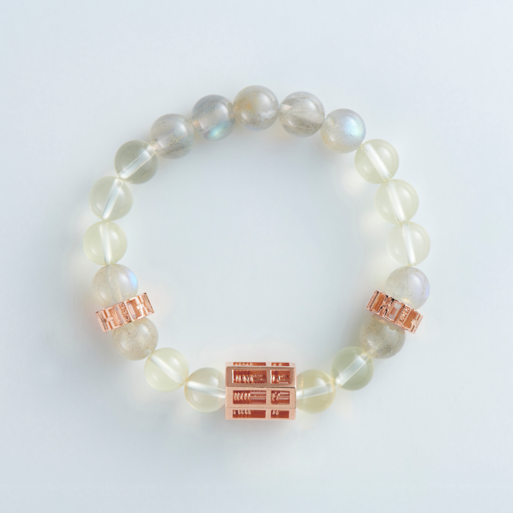 Wealth Shield Metal Abacus – YIN-ENERGY