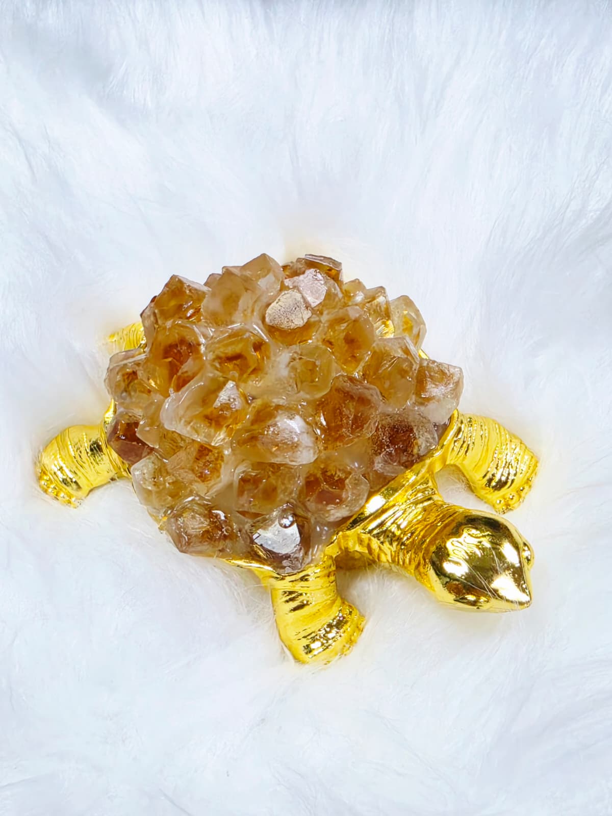 [FB Live Exclusive] Crystal Turtle