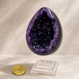 Period 9 Wealth Activation Bundle 九运转运套装 — Uruguay Amethyst Dino Cave 1kg + Mountain Ghost Coin | Wisdom & Wealth Luck