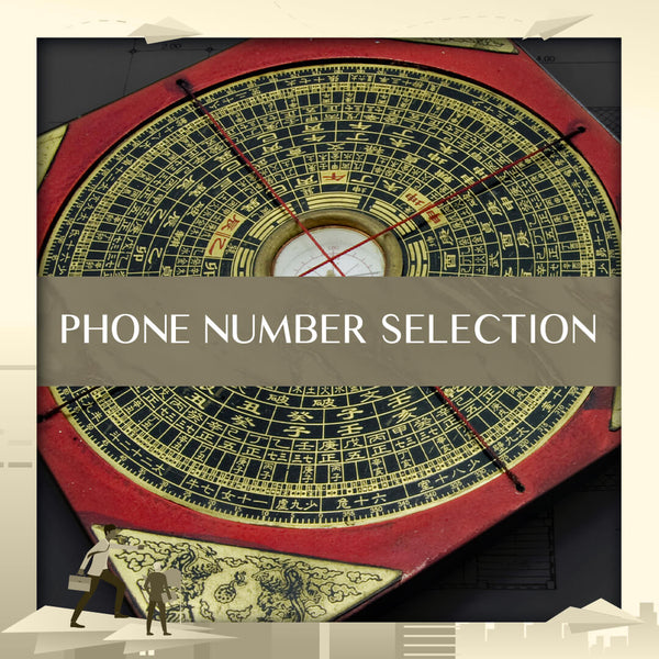 Phone Number Selection